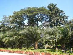 Elliptical Road in Quezon City circumscribing the Quezon Memorial Circle