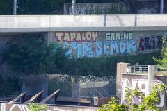 Viaduc de la Jonction with graffiti viewed from Bois de la Bâtie