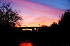 Pont de la Jonction in Geneva at evening