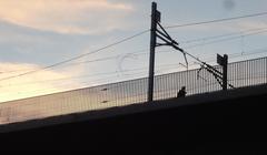 Viaduc de la Jonction with new zinc steel guardrail