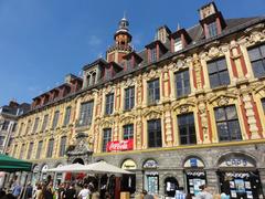 People walking and browsing through stalls at Braderie de Lille 2012