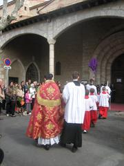 Benediction of the palms on Palm Sunday in Perpignan by FSSP