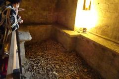 Ossuary in the crypt of Saint-Pierre Church in Royan