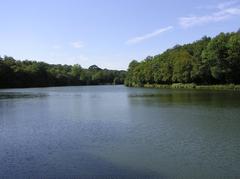 General view of Étangs de La Minière in Guyancourt