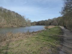 Scenic view of Étang du Moulin Renard with calm water, lush greenery, and blue sky