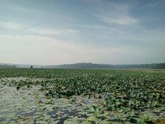 Vellayani Lake at Punchakkari