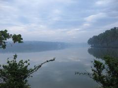 Vellayani Lake in the morning