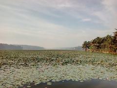 Vellayani Lake at Vavvamoola Bund Road