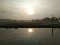 birds starting their day on Vellayani Lake