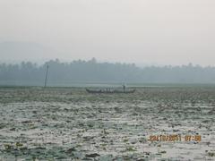 Vellayani Lake at sunrise