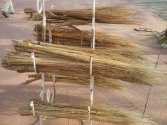 Brooms used by devotees for prayers at Vallarpadam Church