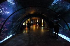 Detail of the interior of the Civic Aquarium of Milan