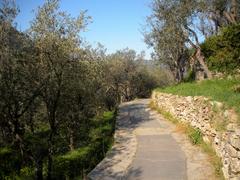 Ancient aqueduct path in Molassana, Genoa