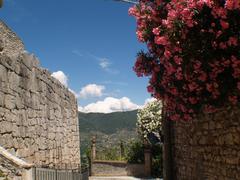 Flowers and ancient walls