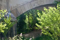 Biotopo Foci dell'Avisio railway viaduct