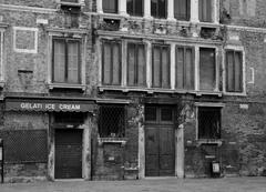 Decadent Venice panoramic view