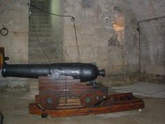 Smoothbore cannon with aiming carriage