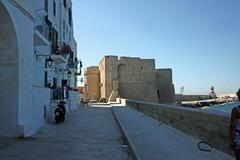 Castello di Carlo V in panoramic view