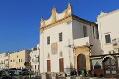 Panoramic view of Gallipoli in Puglia with historic architecture and coastline