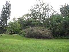 Karen Blixen Museum in Nairobi, Kenya