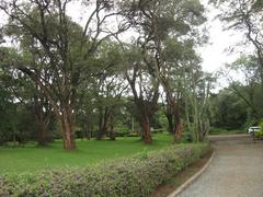 Karen Blixen Museum Nairobi