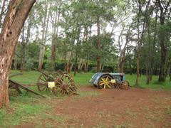 Old agricultural machinery at Karen Blixen Museum in Nairobi, Kenya