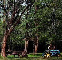 Karen Blixen Gardens in Nairobi, Kenya