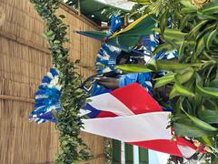 Bahia flag with Caboclo and Cabocla during parade in Salvador on July 2, 2024