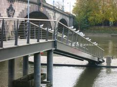 Birds perched on a bridge