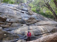 Kiliyur Falls in Yercaud, Salem, India