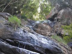 Kiliyur Falls in Yercaud, Tamil Nadu, India