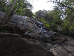 Kiliyur Falls in Yercaud, India