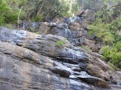 Kiliyur Falls in Yercaud, Salem, India