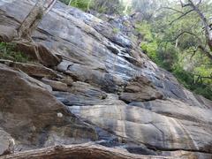 Kiliyur Falls in Yercaud, India