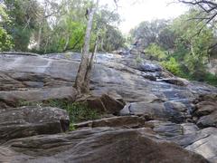 Kiliyur Falls in Yercaud, Salem, India