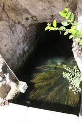 Fonte di Aretusa spring in Syracuse, Italy