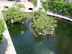 Fonte Aretusa in Siracusa, Sicily