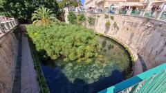 Fonte Aretusa fountain in Syracuse, Sicily