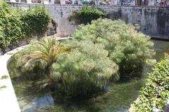 Fonte Aretusa in Syracuse, Sicily