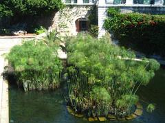 La Fontana Aretusa in Syracuse, Italy