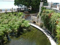 Ortigia Fonte Aretusa