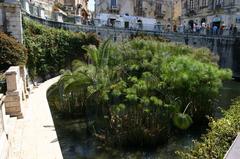 Arethuse's spring in Syracuse, Italy