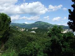 panoramic view from Madonna Del Monte in Genova