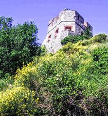 Forte Santa Tecla with flowering brooms in June 2015