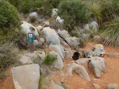 Avenc de l'Asensio cave entrance