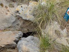 Avenc dels Llambrics cave entrance with surrounding rocky terrain