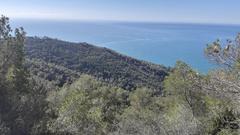 Scenic view of Cala Forn beach with clear blue waters