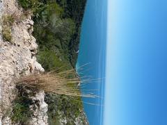 Cala Forn beach with clear blue water and rocky cliffs