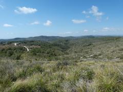 Campdàsens i el fondo de l'Alzina landscape