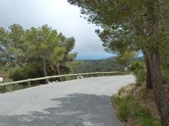 Road from Castelldefels to La Plana Novella through Pleta